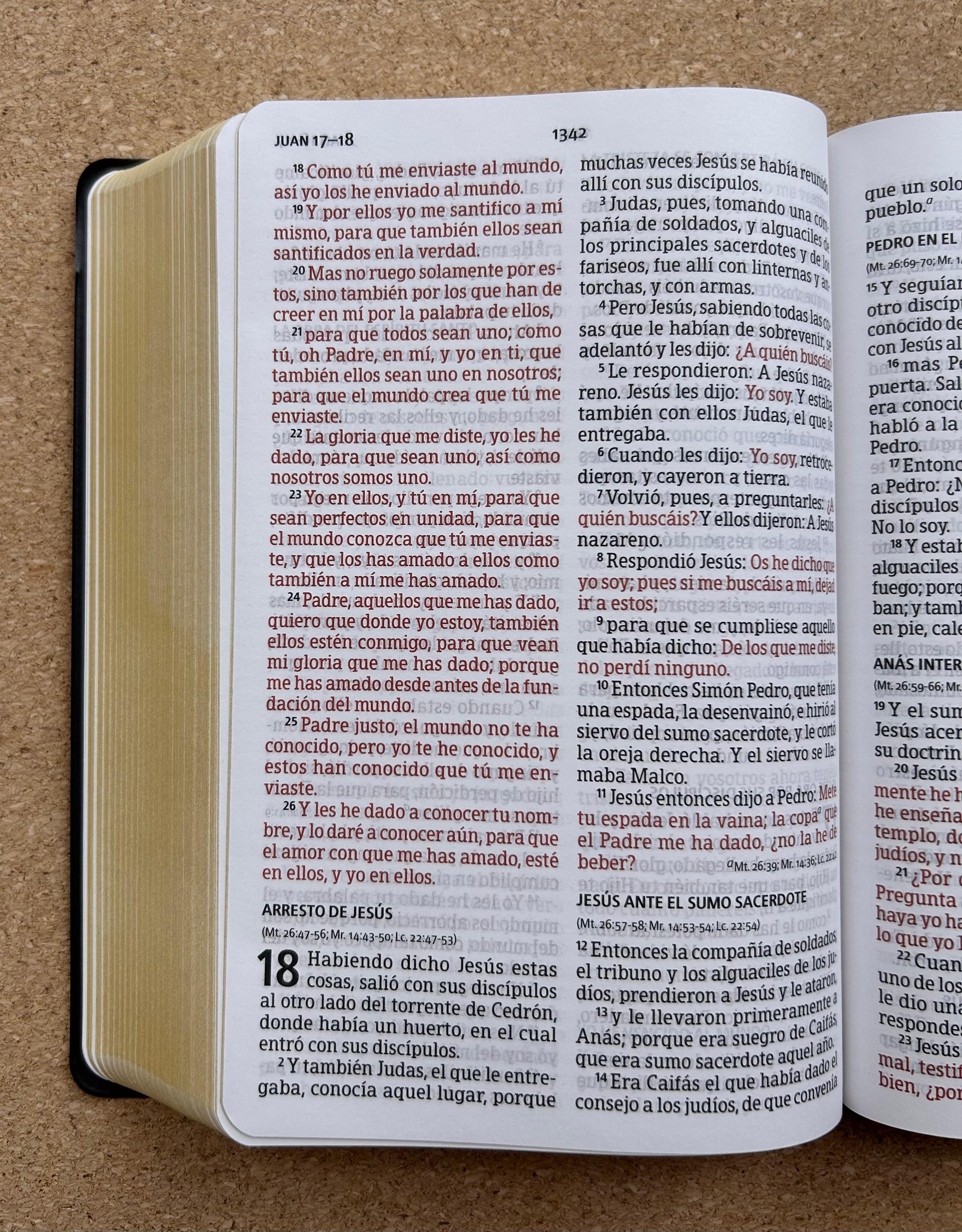 Biblia