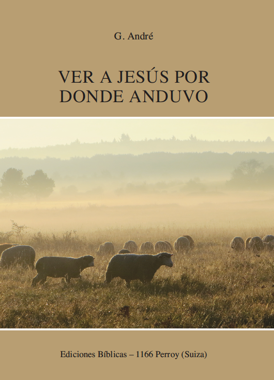 Ver a Jesús por donde anduvo Ver a Jesús por donde anduvo