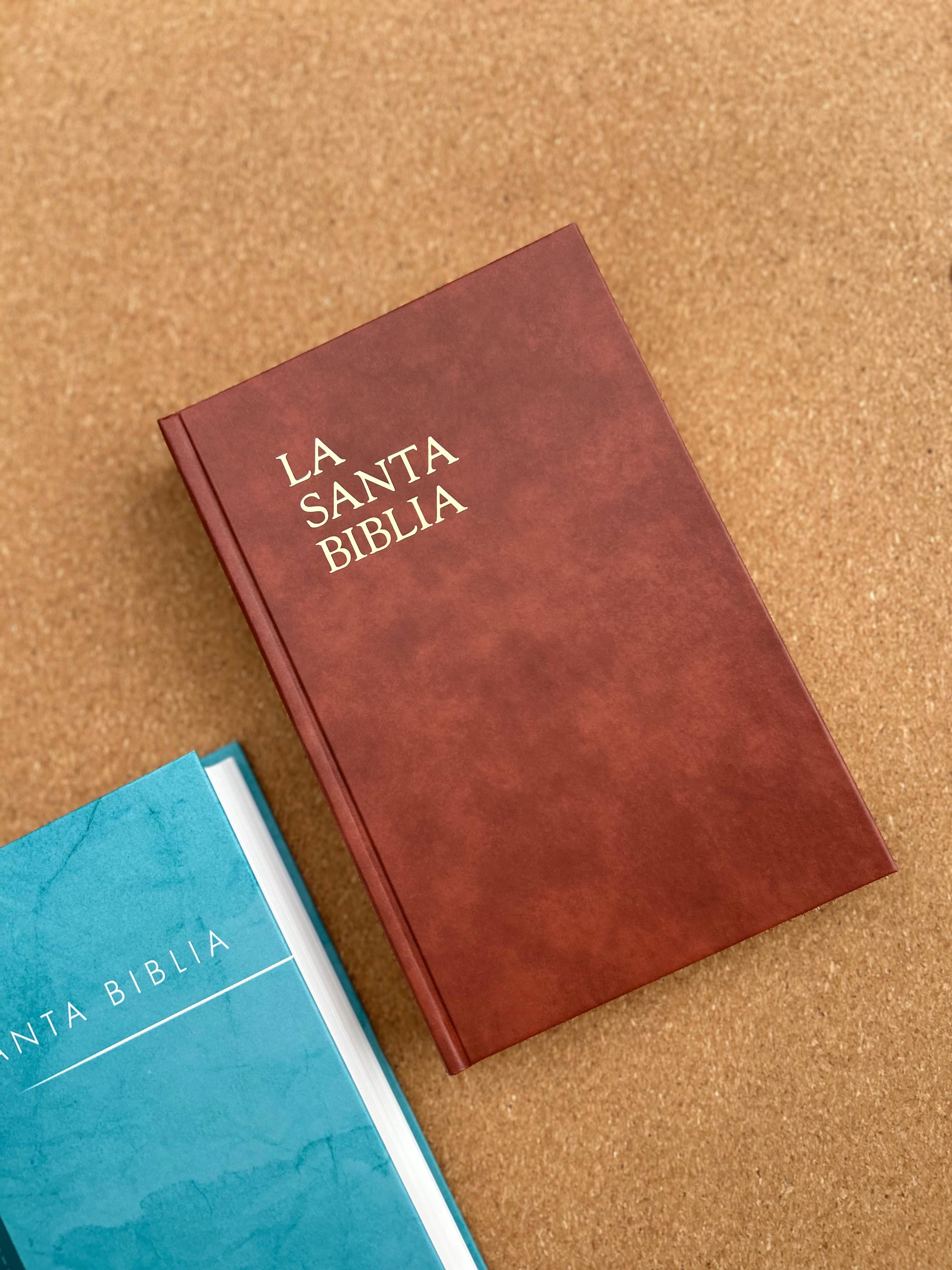 Biblia VM2025 Granate