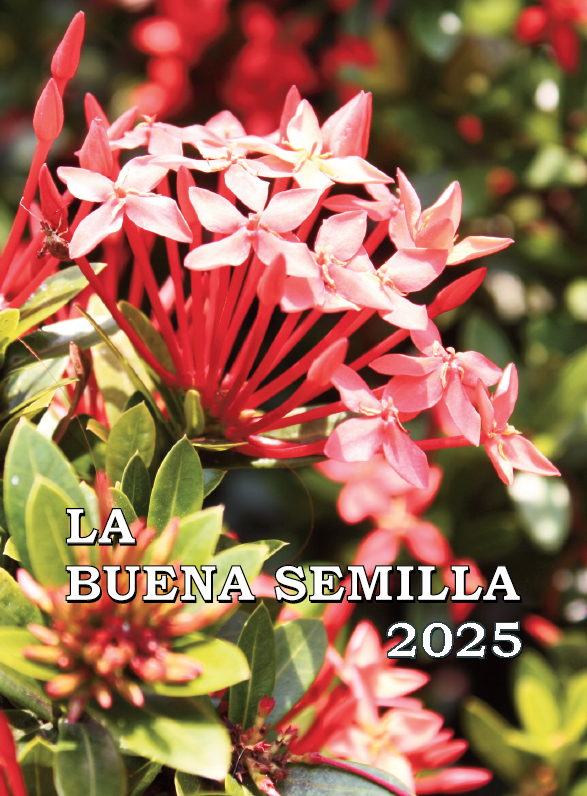La Buena Semilla 2026