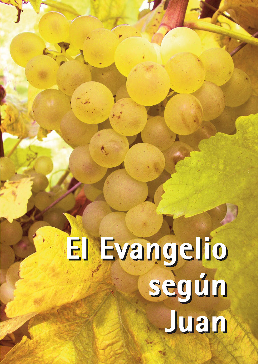 Evangelio según Juan